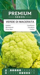 Cauliflower Verde De Macerata Seeds
